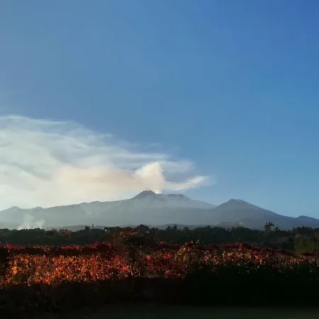La Casa Dei Colori Appartamento Catania